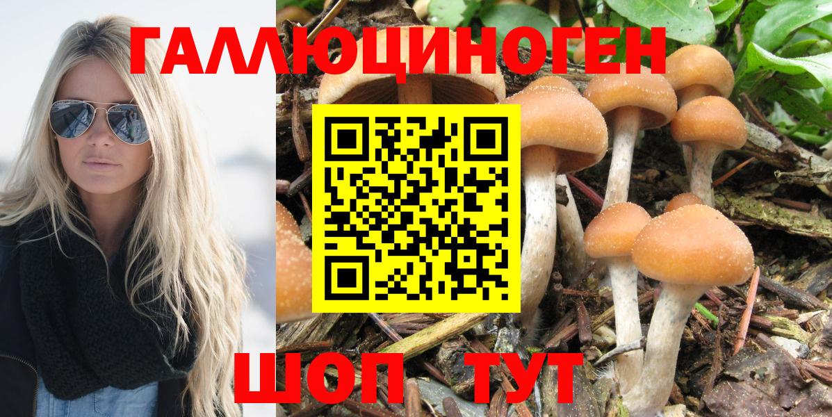 Псилоцибиновые грибы мицелий  Вход с VPN  Ярославль  Псилоцибиновые грибы Cubensis 